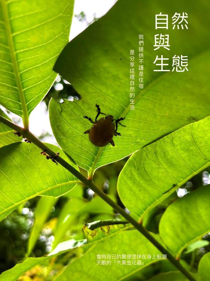 慢水山丘民宿 Slow Water Hill Yuemei Екстериор снимка