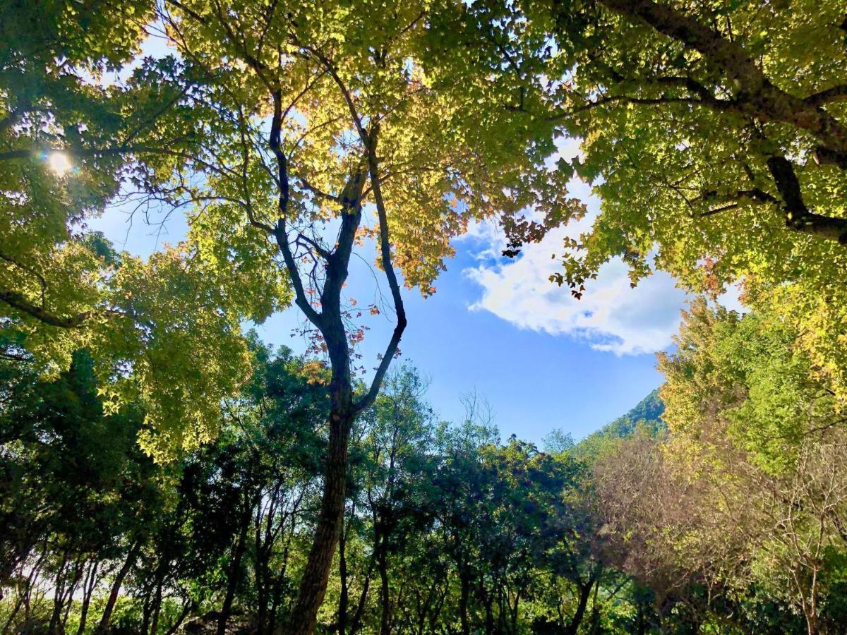 慢水山丘民宿 Slow Water Hill Yuemei Екстериор снимка